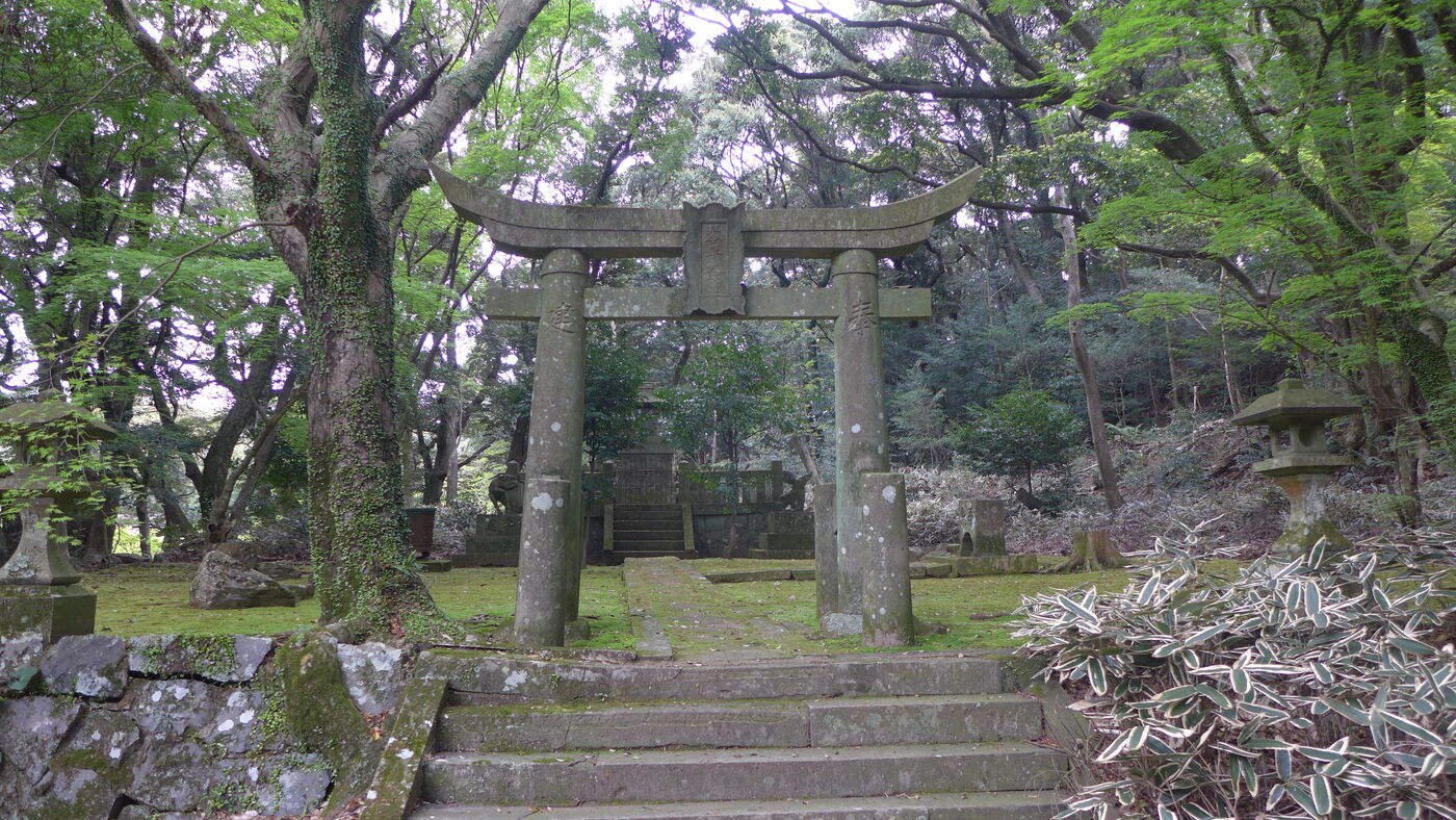 Steinernes Torii-Tor im Wald, umgeben von Bäumen und Moos